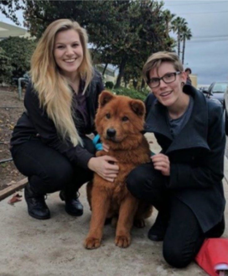 TD"Puppy Found Under Car, Complaining of Pain, Fully Heals and Finds Happiness"