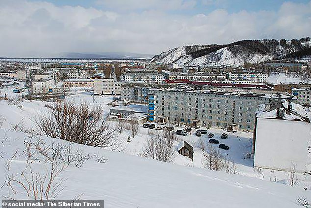 TD"Heroic Stray Dog Saves Girl from Freezing in the Snow"