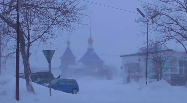 TD"Heroic Stray Dog Saves Girl from Freezing in the Snow"